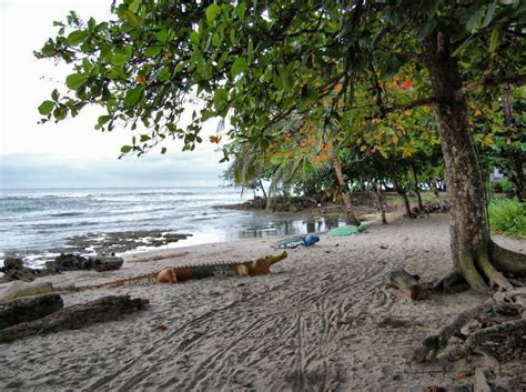 Fotos playas y paisajes de Puerto Viejo en Costa Rica Guías Viajar