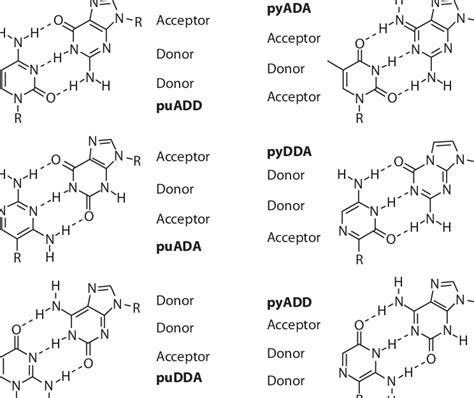 The Six Possible Hydrogen Bonding Patterns That Can Join 12 Different