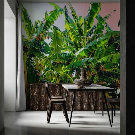 Tropical Banana Leaves Wallpaper | Buy Online at Happywall