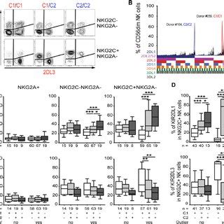 Expanding NKG2C NKG2A NK Cells Express Activating KIRs A