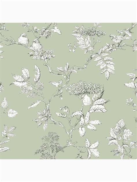 Elderwood Sage Wallpaper 113348 By Laura Ashley Wallpaper