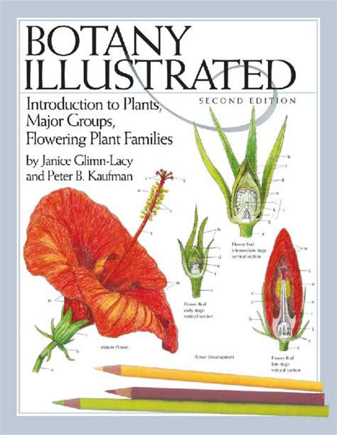 Pdf Botany Illustrated Introduction To Plants Major Groups