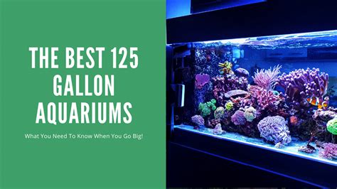 THE BEST 125 GALLON AQUARIUM REVIEWS TOP 5 PICKS