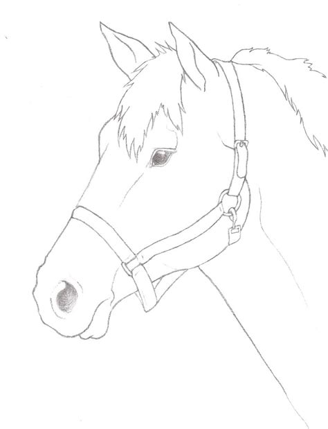 Pencil Simple Horse Drawing - bestpencildrawing