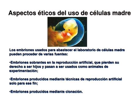 PPT Aspectos éticos del uso de células madre PowerPoint Presentation