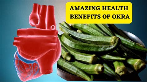 The Top 10 Health Benefits Of Okra You Need To Know Okra Amazing Superfoods Youtube