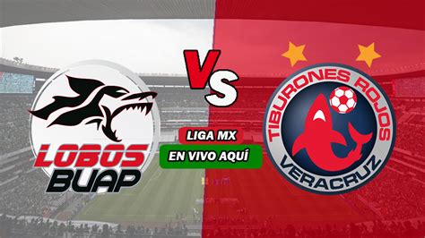 Lobos Buap Vs Veracruz Copa Mx Clausura En Vivo Cwamikstrembaded