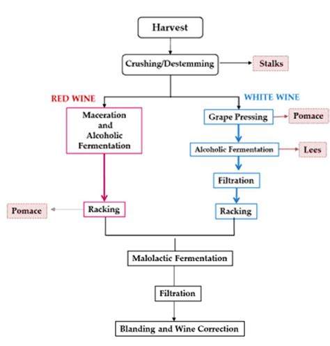 White and red vinification process. | Download Scientific Diagram