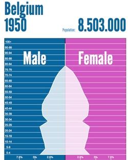 Population and Settlement - Belgium