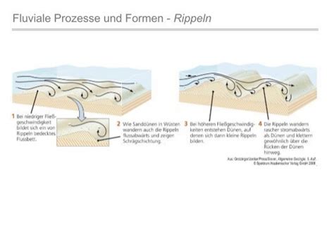 Fluviale Prozesse