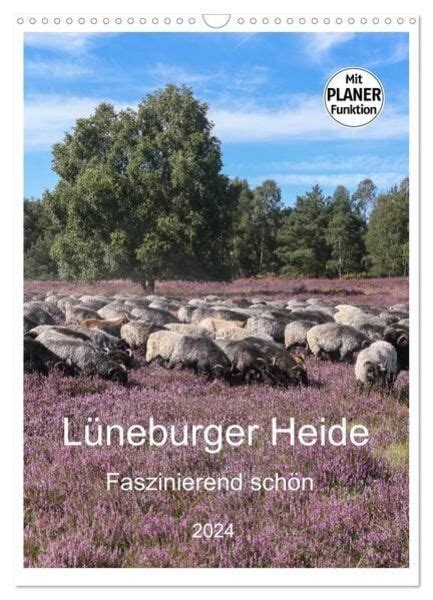 Der Naturpark L Neburger Heide Ist Eine Landschaft Mit Heide Moor