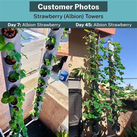 Pvc Vertical Grow Tower Add On For Hydroponics Aeroponics Aquaponics