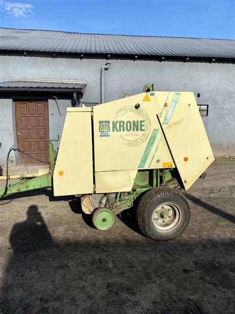 Sprzedam Prase Krone Kr 130 Gusin OLX Pl