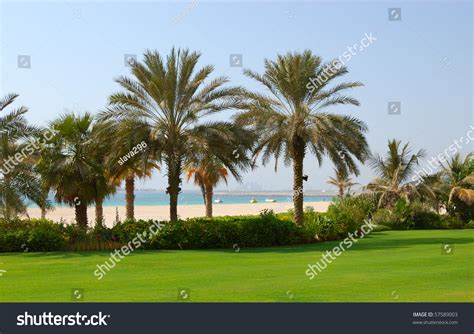 2,225 Dubai Palm Tree Island Images, Stock Photos & Vectors | Shutterstock