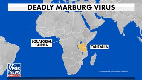 Marburg Virus ‘will Not Become The Next Pandemic But Should Be