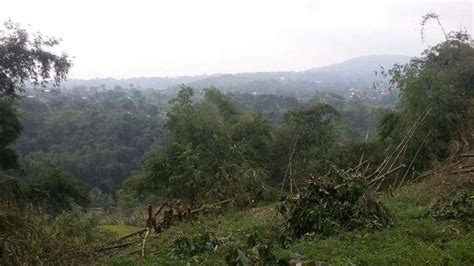 Tanah Murah View Gunung Dekat Lokasi Wisata Kopi Tubing Pamijahan