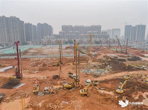 临空港新闻 临空港新闻 武汉市东西湖区人民政府 武汉临空港经济技术开发区管委会