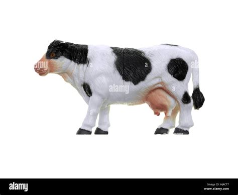 Farm animals isolated against a white background Stock Photo - Alamy