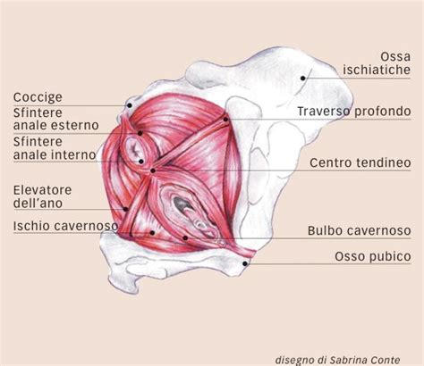 Vaginismo Fertilitycenter