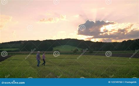 Pai Idoso Que Anda Seu Filho Adulto No Campo Do Trigo Ou Do Centeio