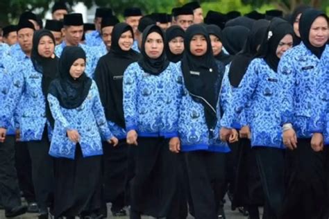 Membingungkan Punya Status Kepegawaian Yang Sama Dalam Pemerintahan