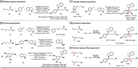 Site Selective Palladium Catalyzed Arylamination Of Terminal