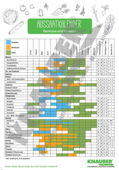 Kalender für Aussaat und Ernte von Gemüse und Kräutern Aussaat