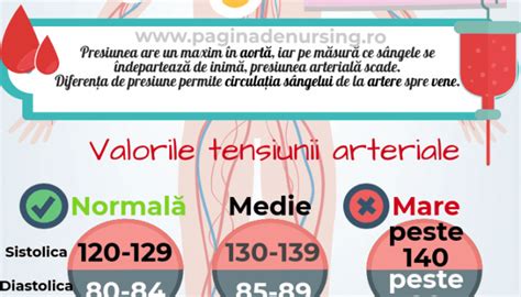 Tensiunea Arterială Pagina De Nursing