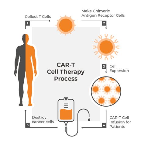 Car T Treatment And How Car T Cell Therapies Work Nanotein