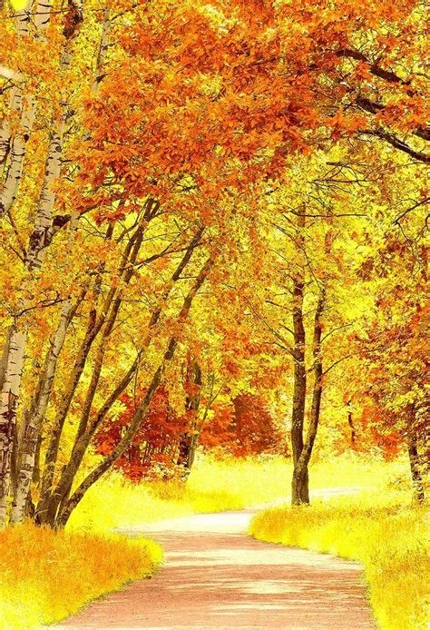 October Scenery Wallpapers - Top Free October Scenery Backgrounds - WallpaperAccess