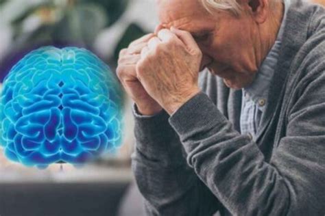 Alimentos Para Prevenir El Alzheimer Marca