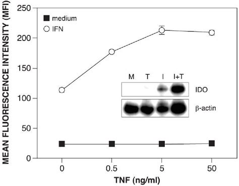 Figure 2 from The Role of IFN γ and TNF α Responsive Regulatory