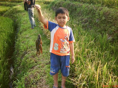 mancing mania mantab salpret