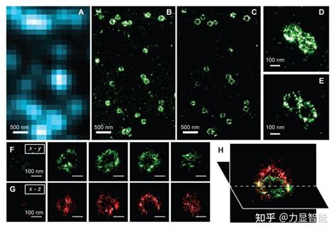 文献解读随机光学重构显微镜的三维超分辨率成像提供试拍力显智能STORM成像技术研究学术分享 知乎
