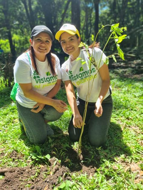 Desarrollan Jornada De Reforestaci N Vistamos De Verde El Planeta