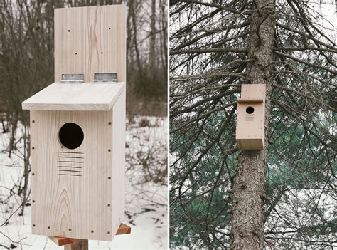 How To Build A Screech Owl Nest Box Audubon