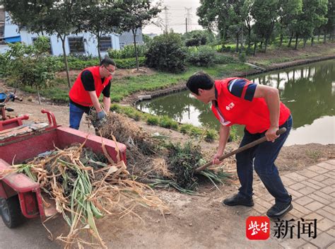 张家港市凤凰镇：党建引领人居环境整治，擦亮乡村振兴底色工作行动问题