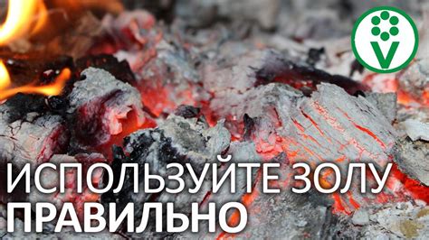 5 УНИКАЛЬНЫХ СПОСОБОВ ПРИМЕНЕНИЯ ПЕЧНОЙ ЗОЛЫ - YouTube