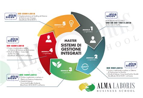 Alma Laboris Business School Master Sistemi Integrati