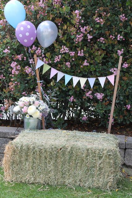 Photo 2 Of 42 Vintage Girly Western Petting Zoo Birthday Rubys 1st