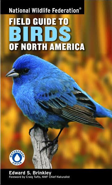 Guide To Birding Field Guides