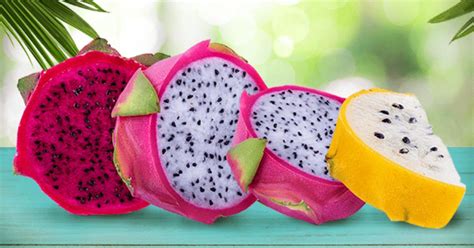 Cu Les Son Algunos Beneficios De La Pitahaya Para Tu Salud