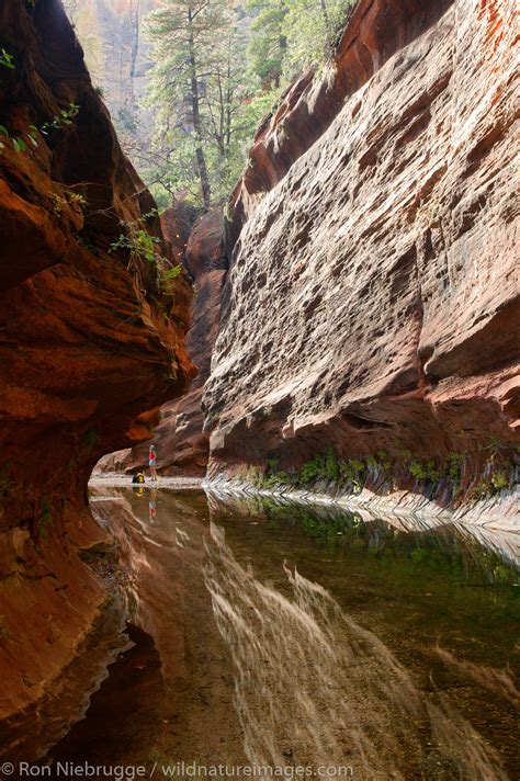 West Fork Of Oak Creek Trail Sedona Arizona Photos By Ron Niebrugge