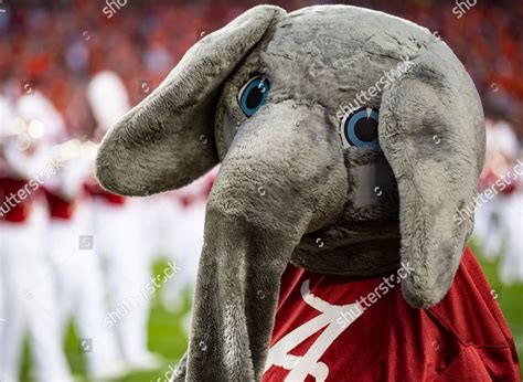 Big Al Alabama Mascot Entertains Fans Editorial Stock Photo - Stock Image | Shutterstock