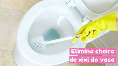 5 Dicas Infalíveis para Tirar Cheiro de Urina do Banheiro Truques Simples