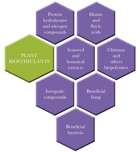 The Current Seven Categories Of Biostimulants Used In Crop Production