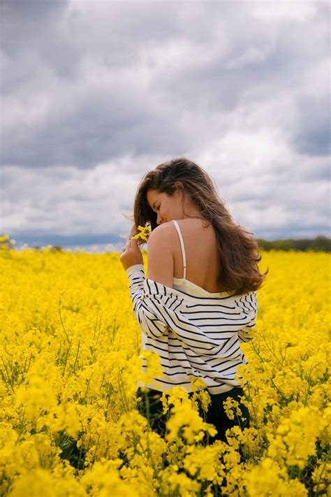 Yellow Flower Field Aesthetic Ideas Mdqahtani