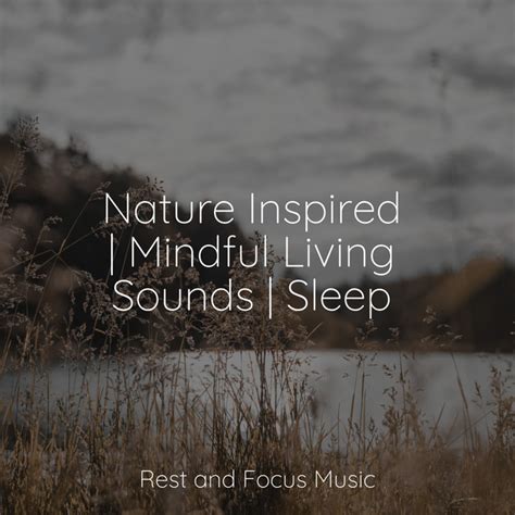 Nature Inspired Mindful Living Sounds Sleep Album By Relaxing