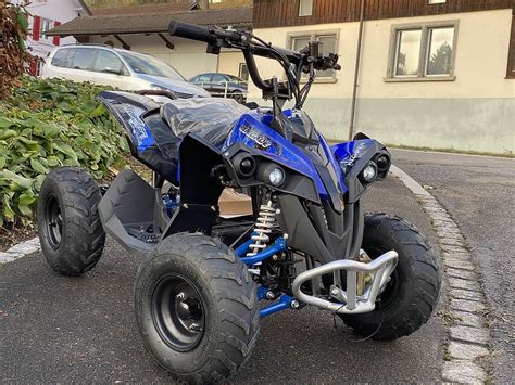 ATV Quad Elektro 1200 Watt Renegade Blau Im Kanton Aargau Tutti Ch