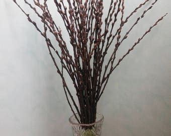 Pussy Willow Bouquet Etsy